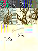 DSCF0163.JPG