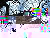 DSCF0175.JPG