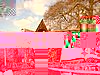 DSCF0177.JPG
