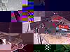 DSCF0206.JPG